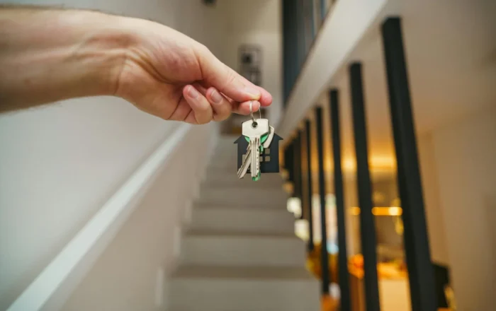 pexels-jakubzerdzicki-31651009-2048x1366